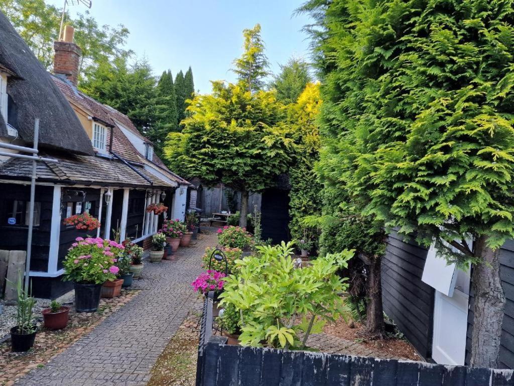 Bed and Breakfast Abingplough House Abingdon-on-Thames Exterior foto